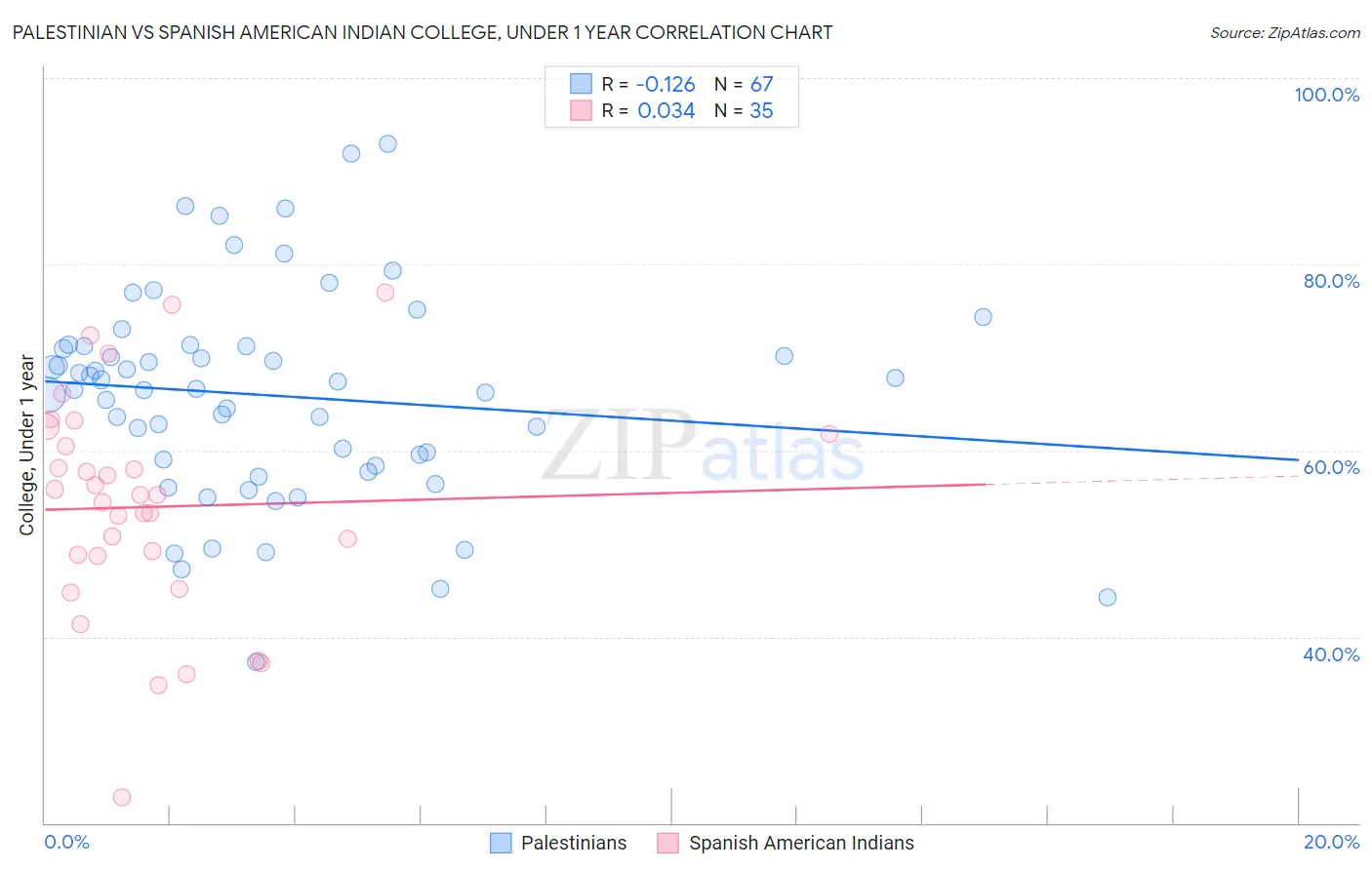 Palestinian vs Spanish American Indian College, Under 1 year