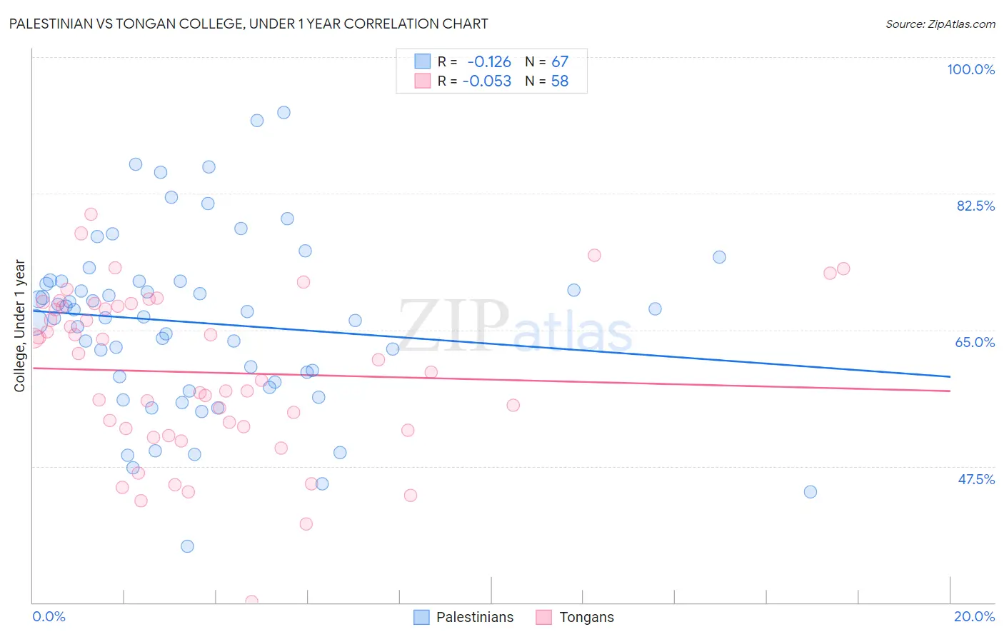 Palestinian vs Tongan College, Under 1 year