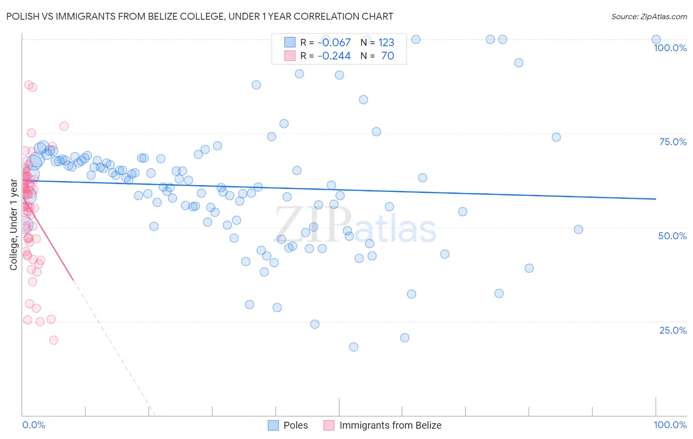 Polish vs Immigrants from Belize College, Under 1 year