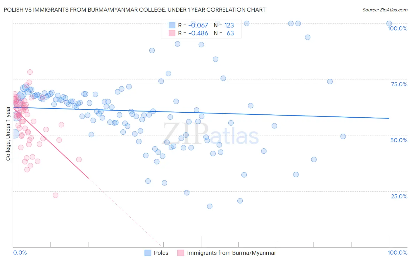 Polish vs Immigrants from Burma/Myanmar College, Under 1 year