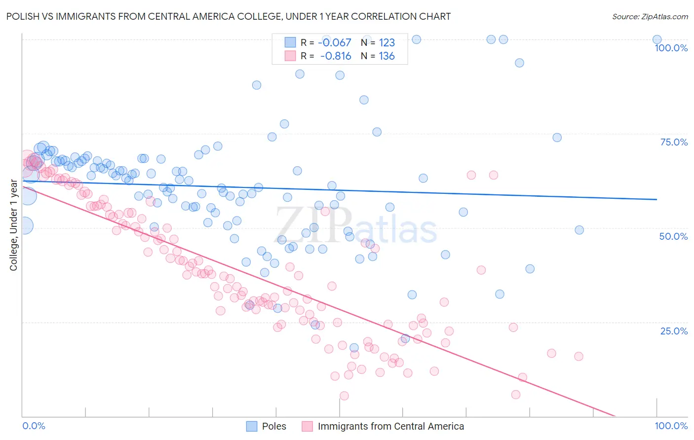 Polish vs Immigrants from Central America College, Under 1 year
