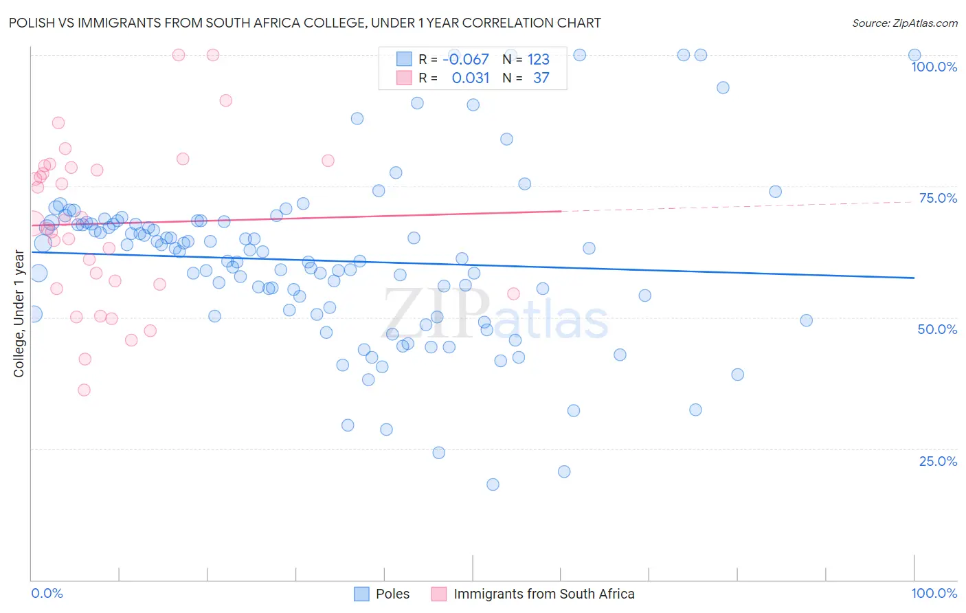 Polish vs Immigrants from South Africa College, Under 1 year