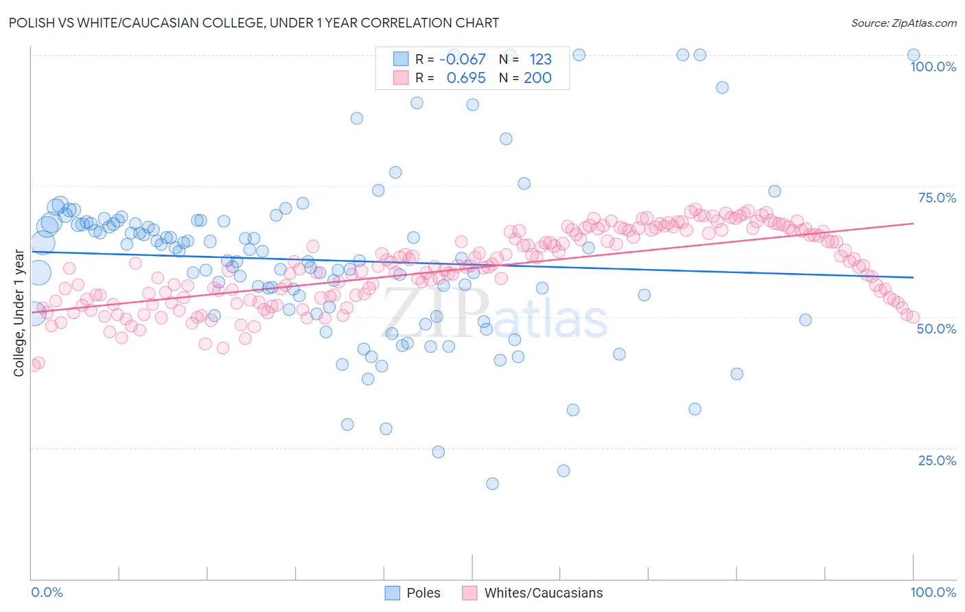 Polish vs White/Caucasian College, Under 1 year