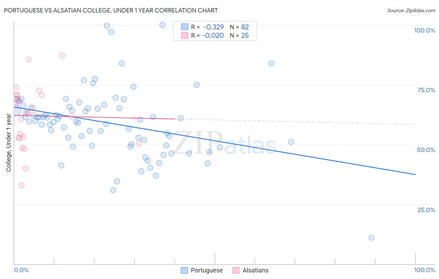 Portuguese vs Alsatian College, Under 1 year