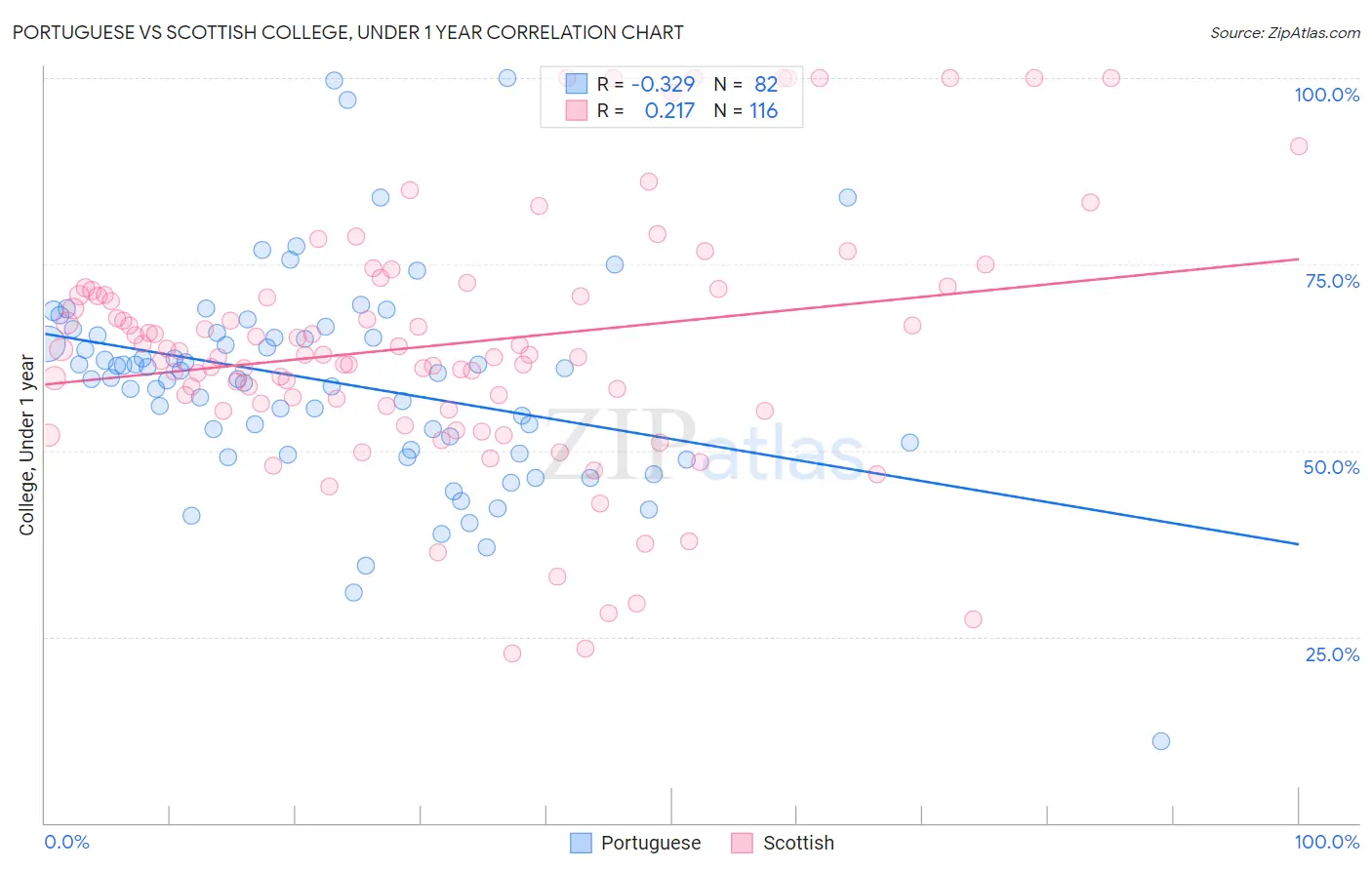 Portuguese vs Scottish College, Under 1 year