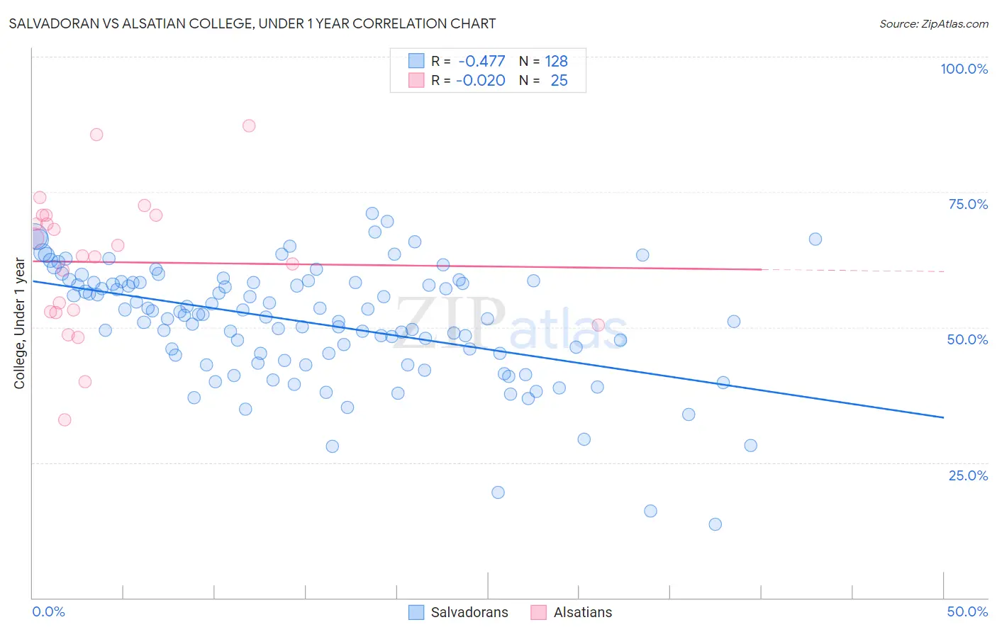 Salvadoran vs Alsatian College, Under 1 year