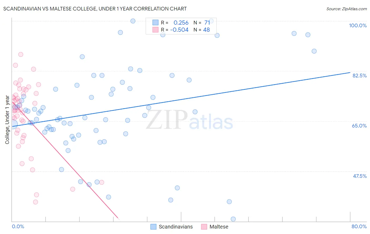 Scandinavian vs Maltese College, Under 1 year