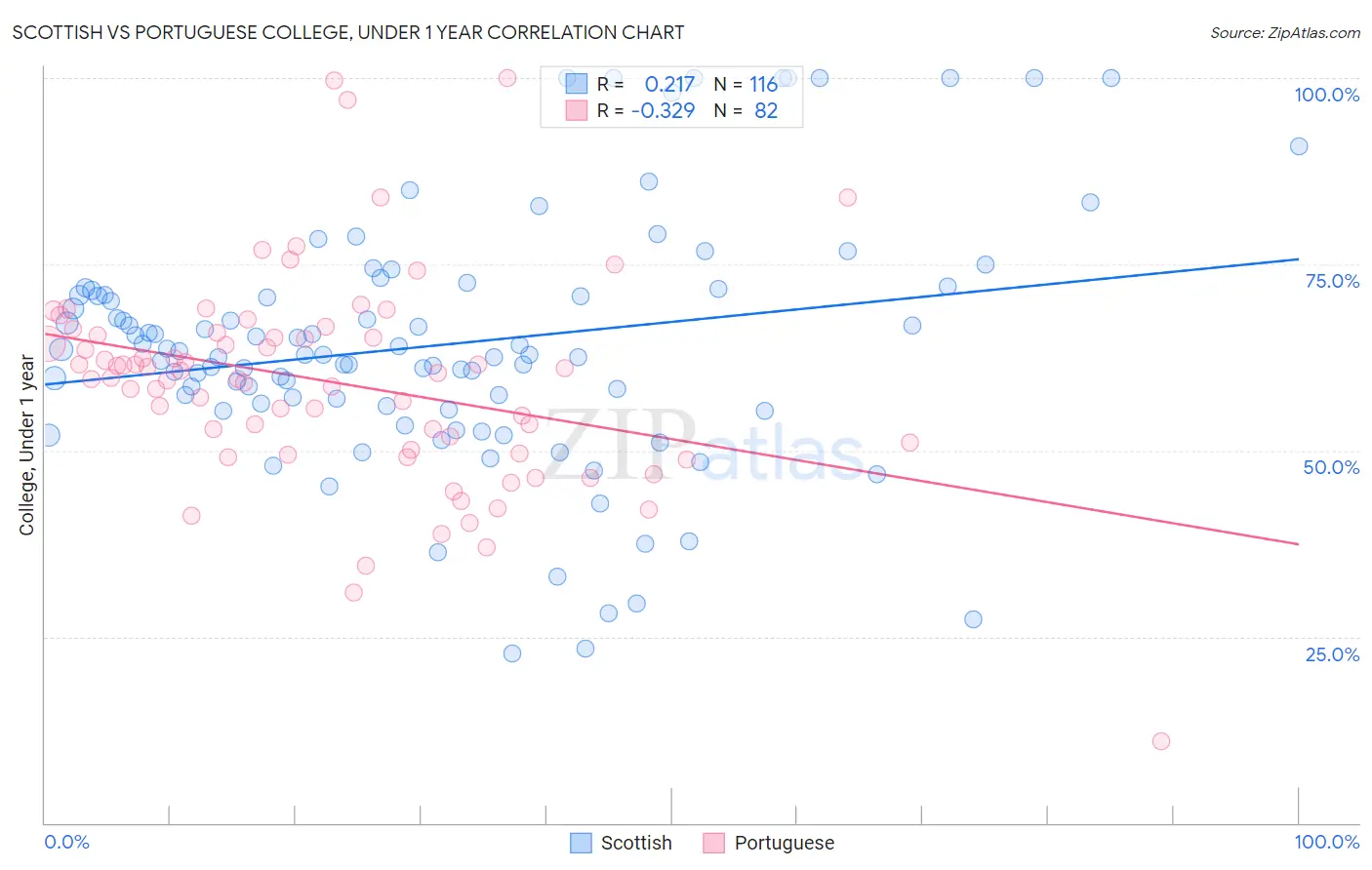 Scottish vs Portuguese College, Under 1 year