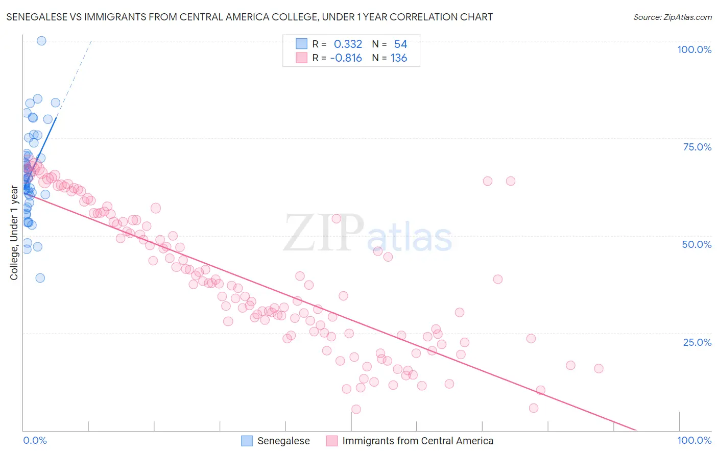 Senegalese vs Immigrants from Central America College, Under 1 year