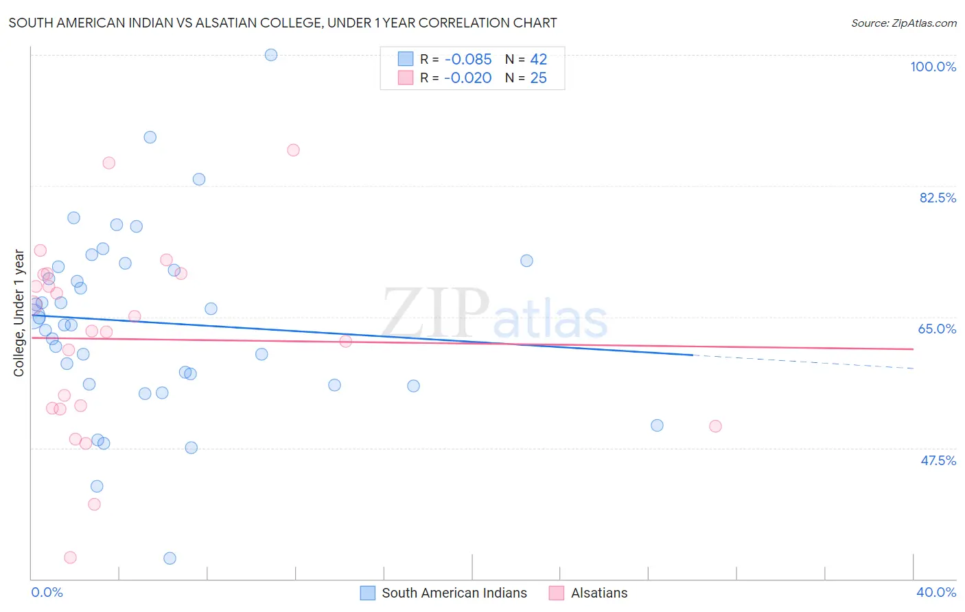 South American Indian vs Alsatian College, Under 1 year