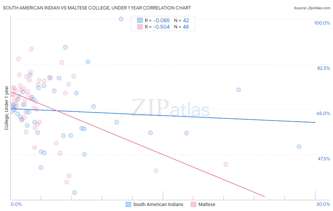 South American Indian vs Maltese College, Under 1 year