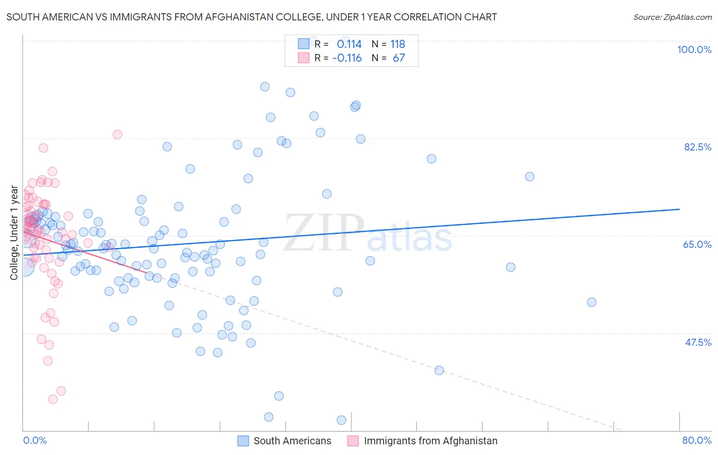 South American vs Immigrants from Afghanistan College, Under 1 year