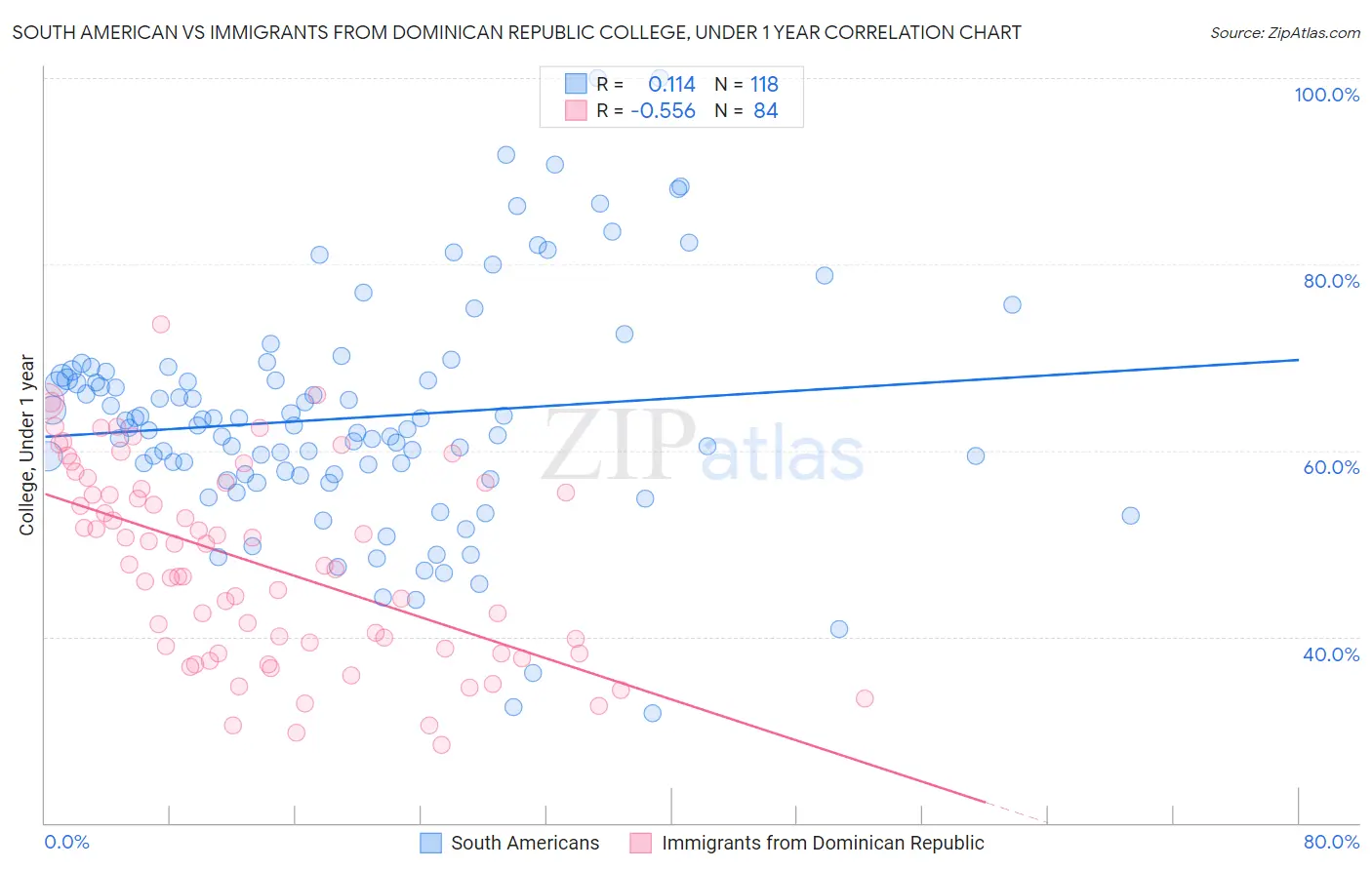 South American vs Immigrants from Dominican Republic College, Under 1 year