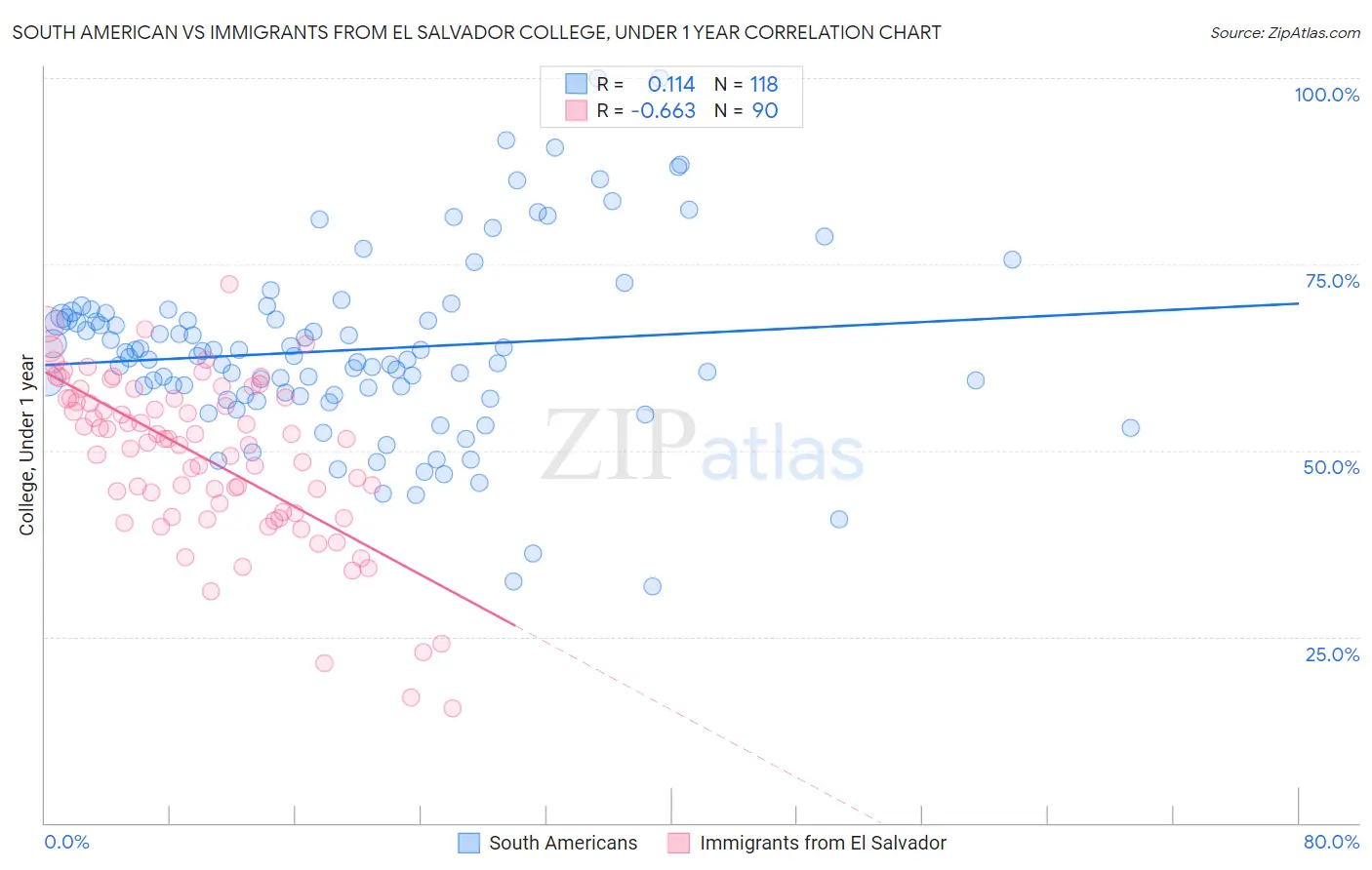 South American vs Immigrants from El Salvador College, Under 1 year
