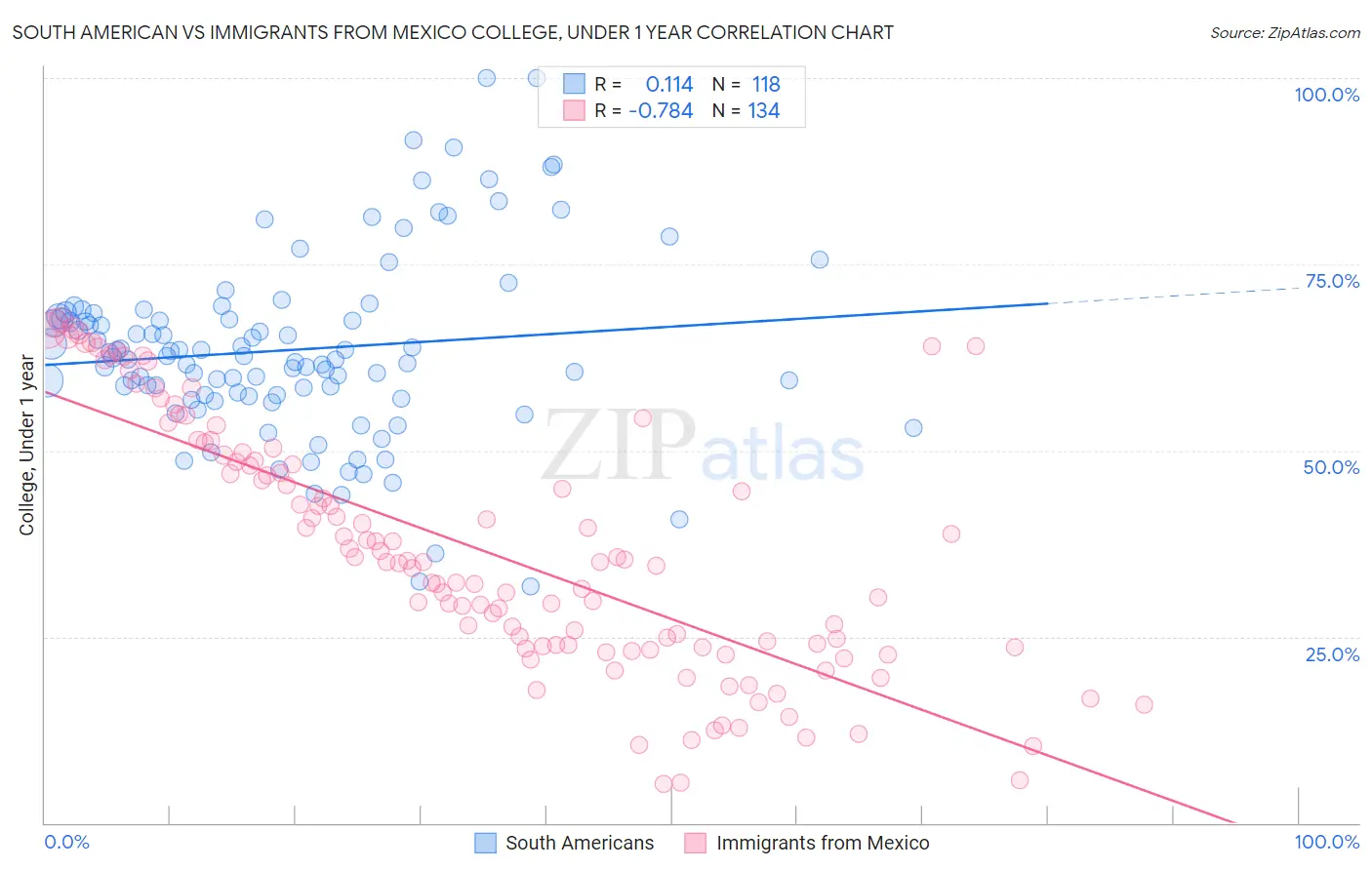 South American vs Immigrants from Mexico College, Under 1 year