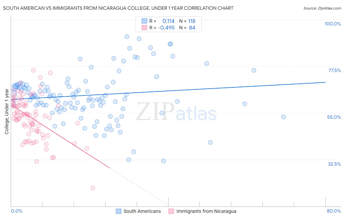 South American vs Immigrants from Nicaragua College, Under 1 year