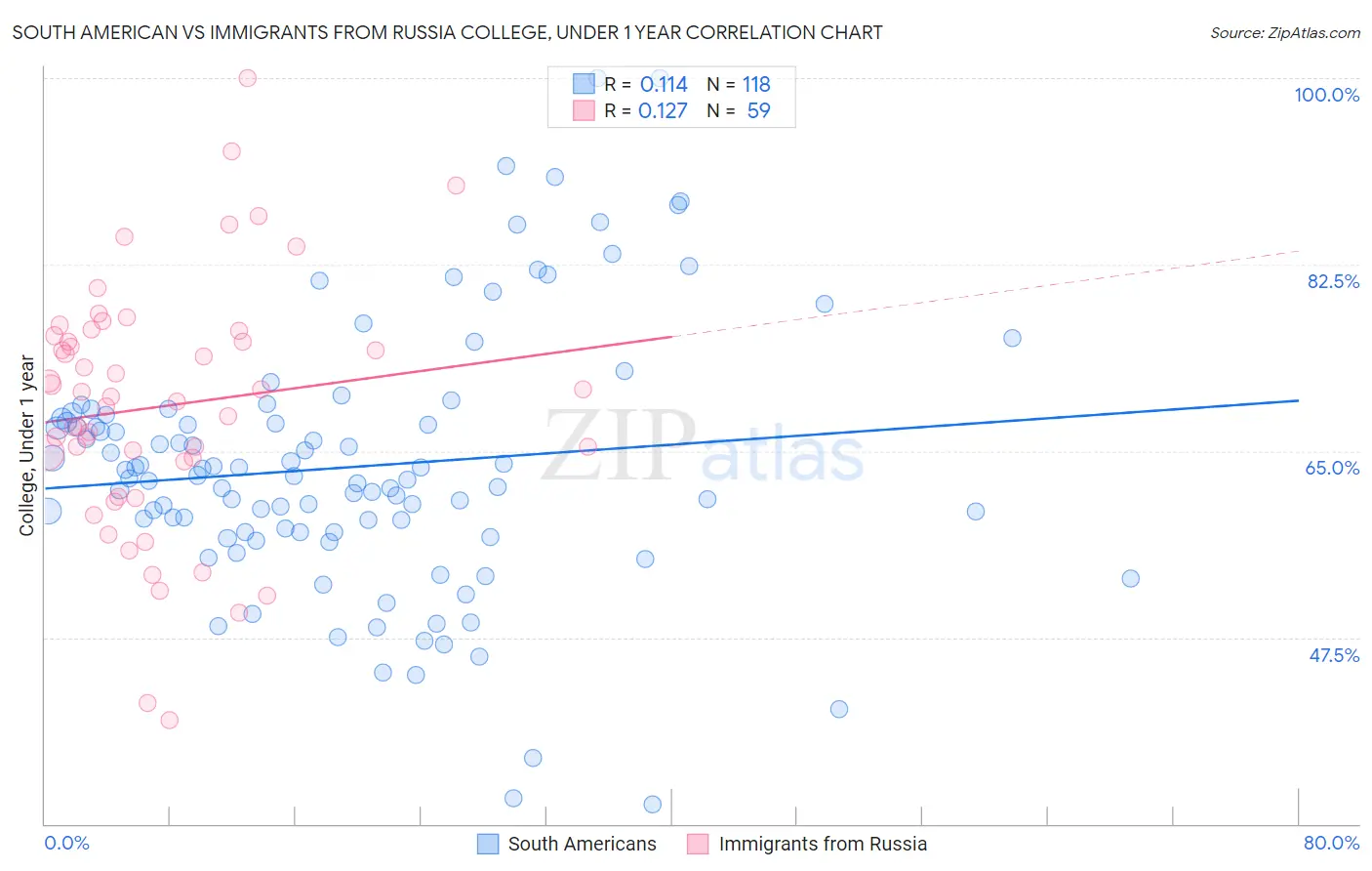 South American vs Immigrants from Russia College, Under 1 year