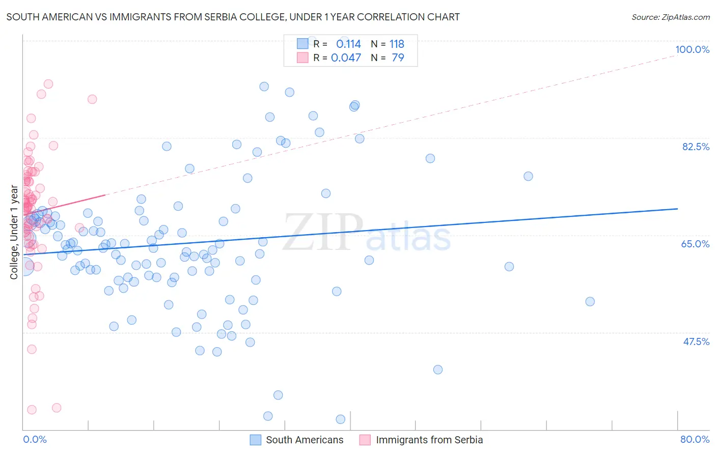 South American vs Immigrants from Serbia College, Under 1 year