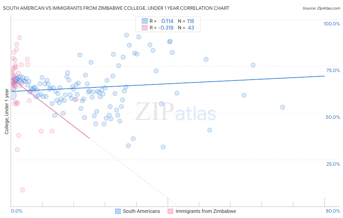 South American vs Immigrants from Zimbabwe College, Under 1 year