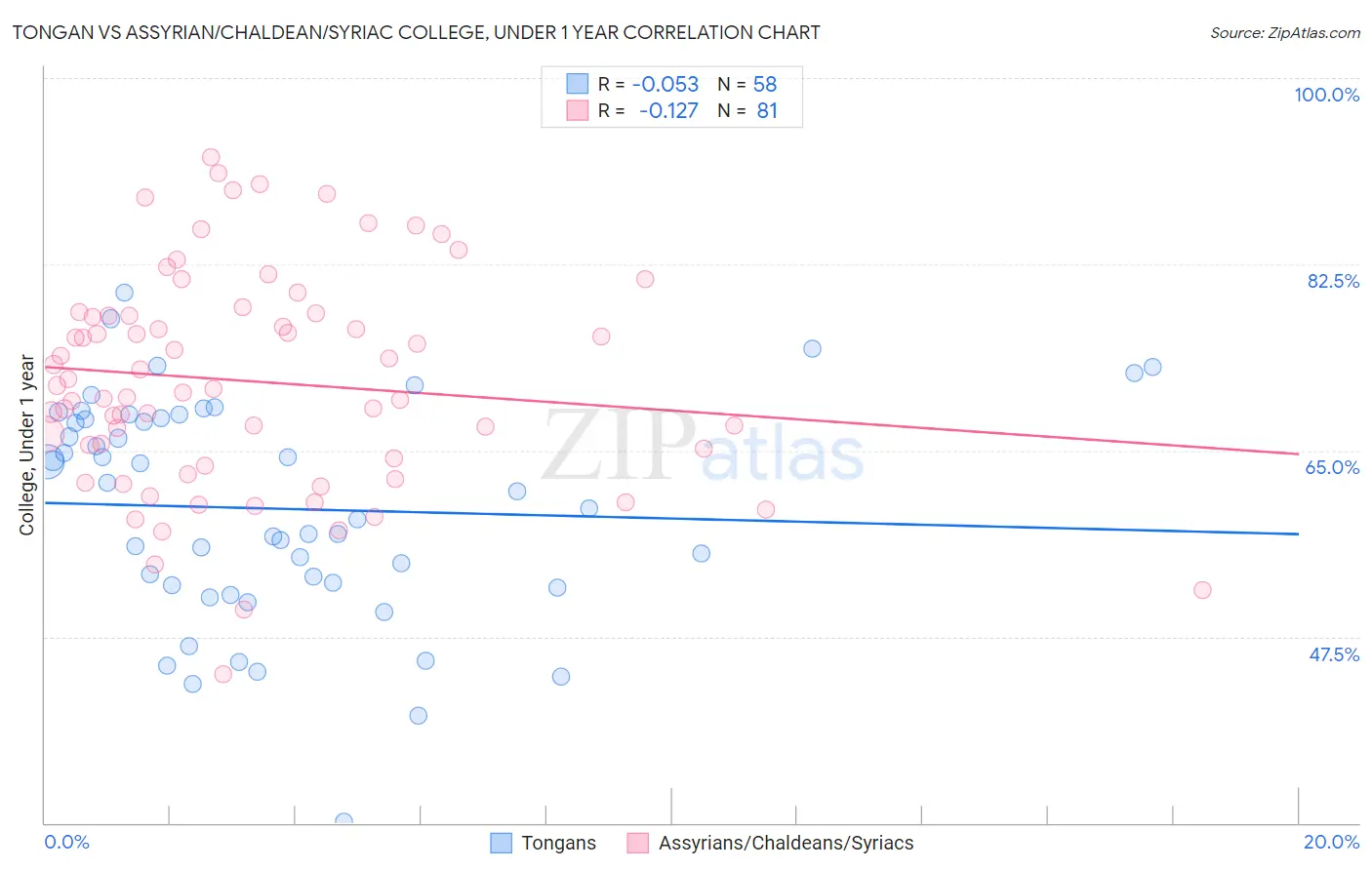 Tongan vs Assyrian/Chaldean/Syriac College, Under 1 year