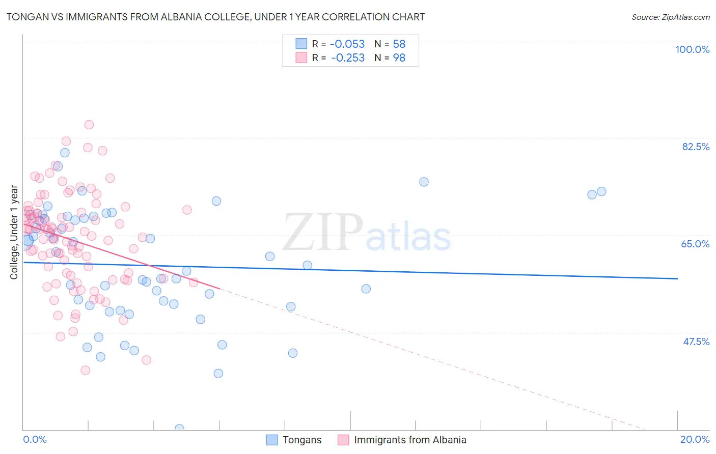 Tongan vs Immigrants from Albania College, Under 1 year