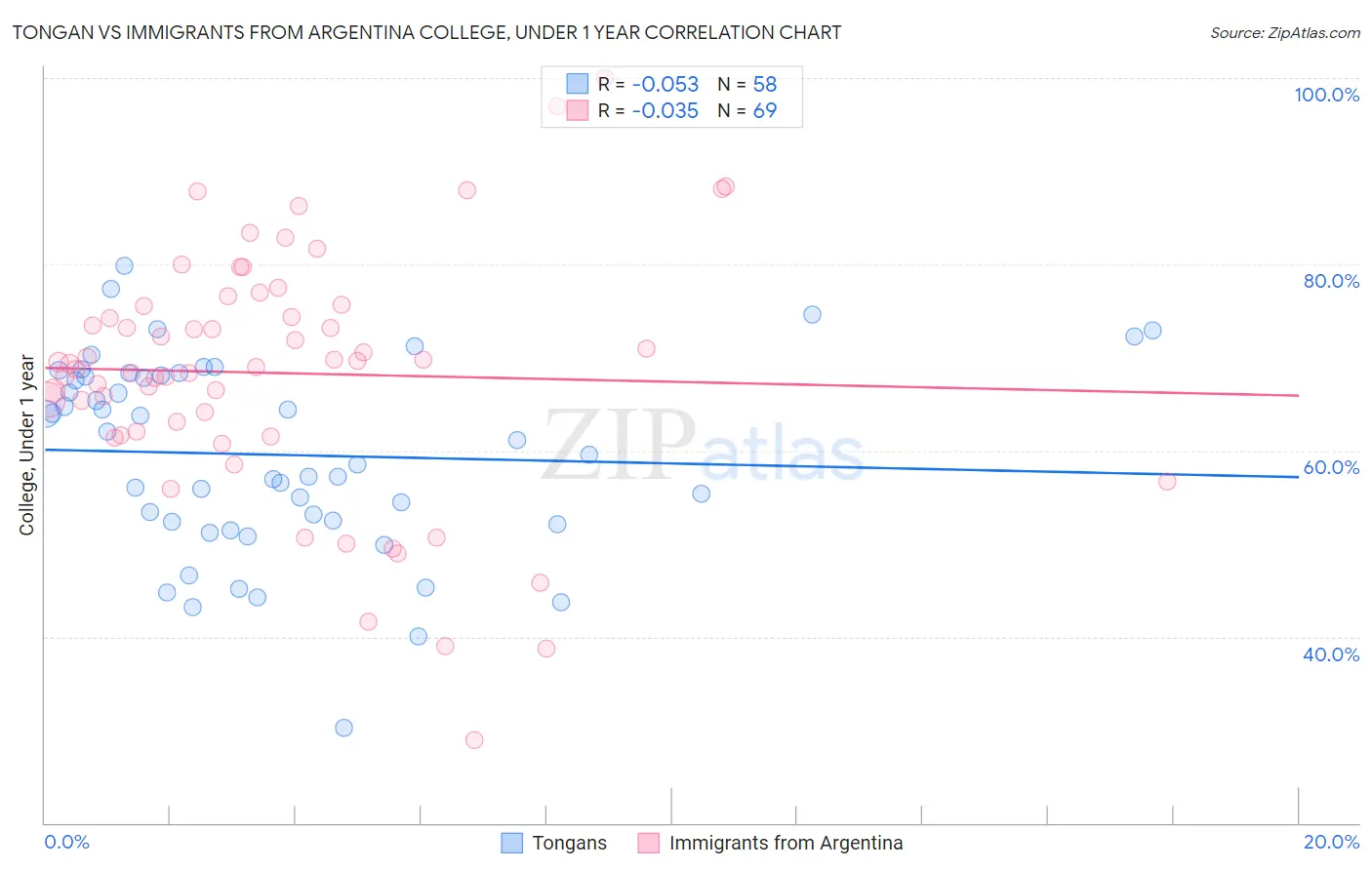 Tongan vs Immigrants from Argentina College, Under 1 year