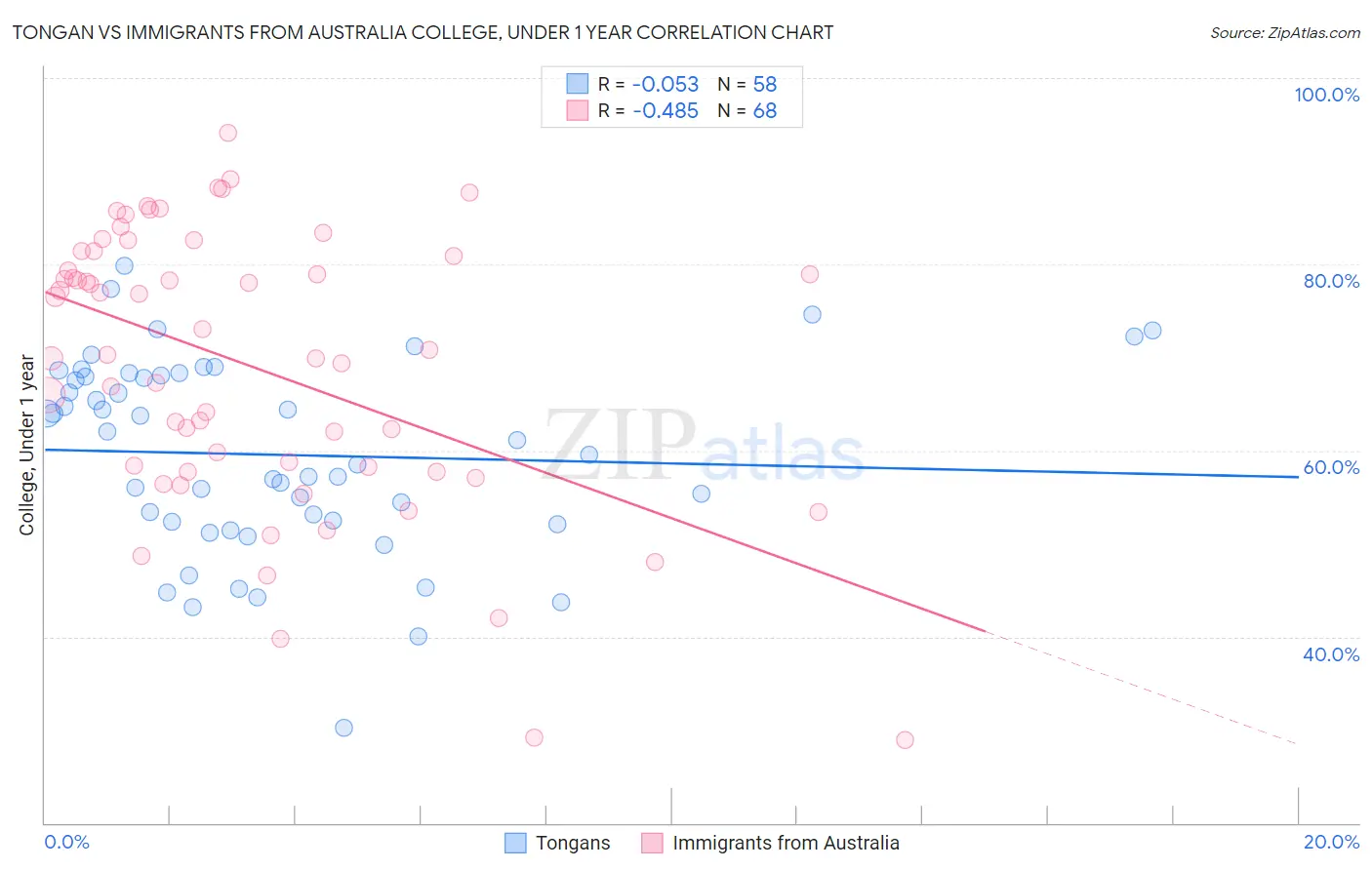 Tongan vs Immigrants from Australia College, Under 1 year