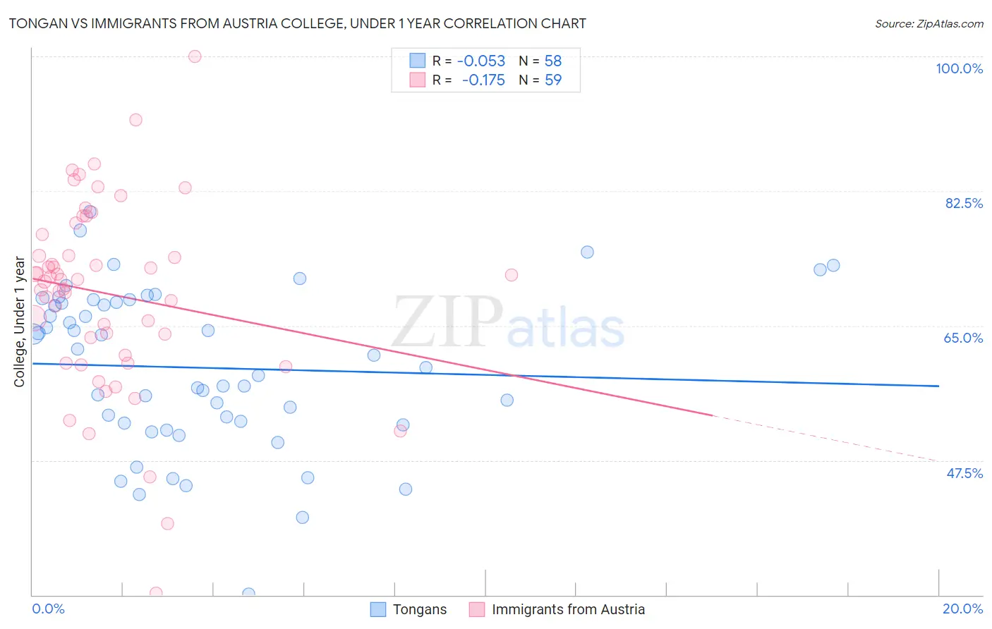 Tongan vs Immigrants from Austria College, Under 1 year