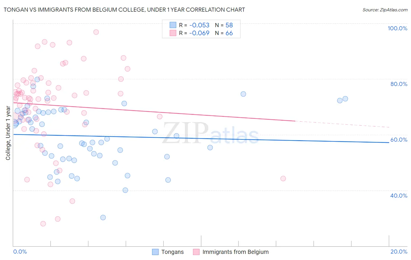 Tongan vs Immigrants from Belgium College, Under 1 year