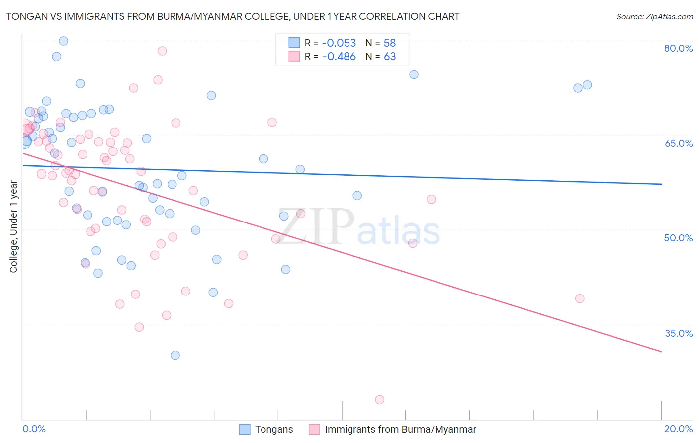 Tongan vs Immigrants from Burma/Myanmar College, Under 1 year