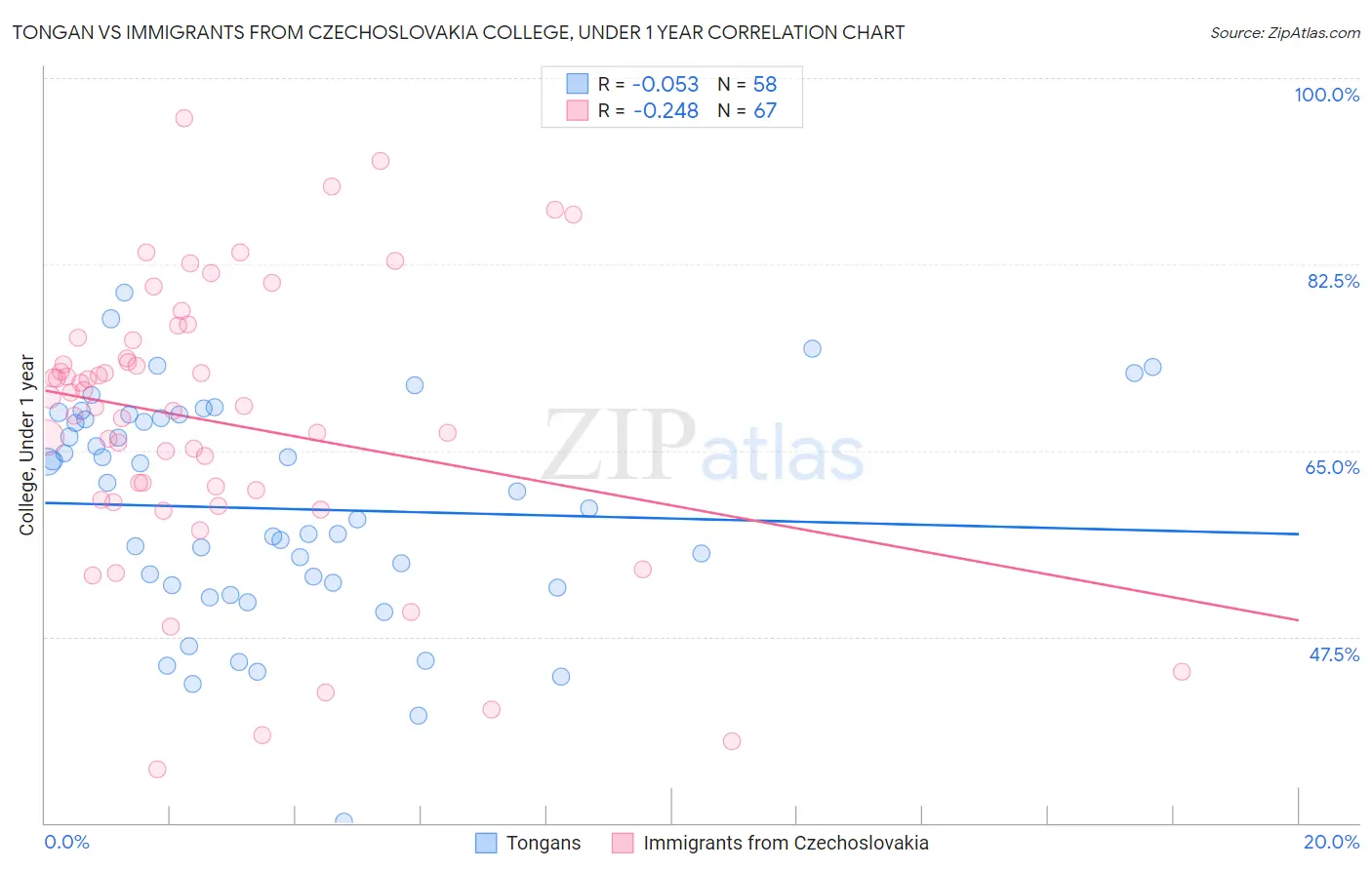 Tongan vs Immigrants from Czechoslovakia College, Under 1 year