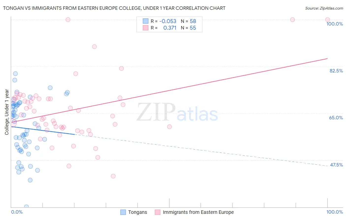 Tongan vs Immigrants from Eastern Europe College, Under 1 year