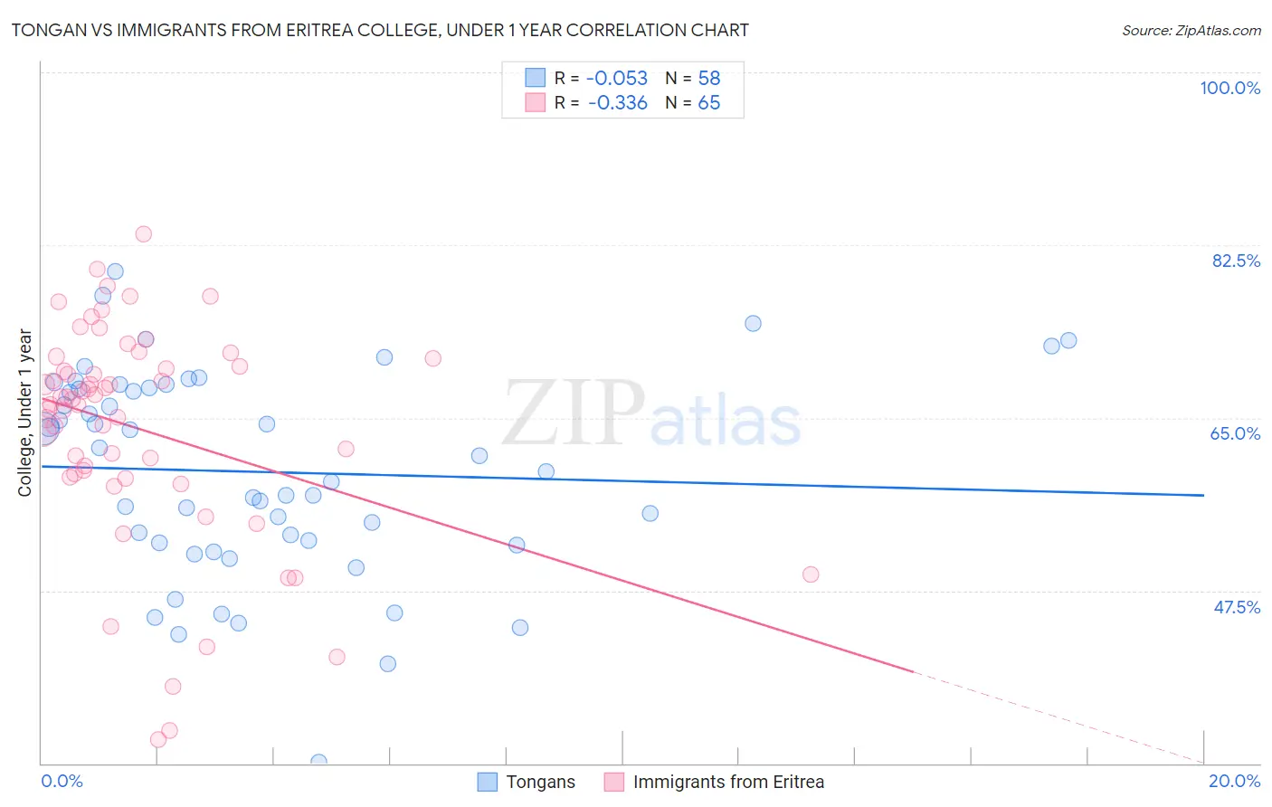 Tongan vs Immigrants from Eritrea College, Under 1 year