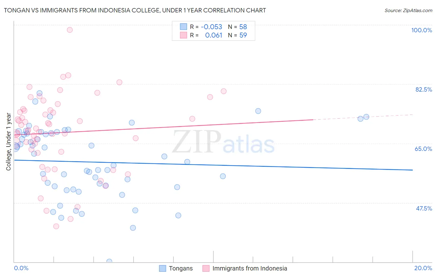Tongan vs Immigrants from Indonesia College, Under 1 year