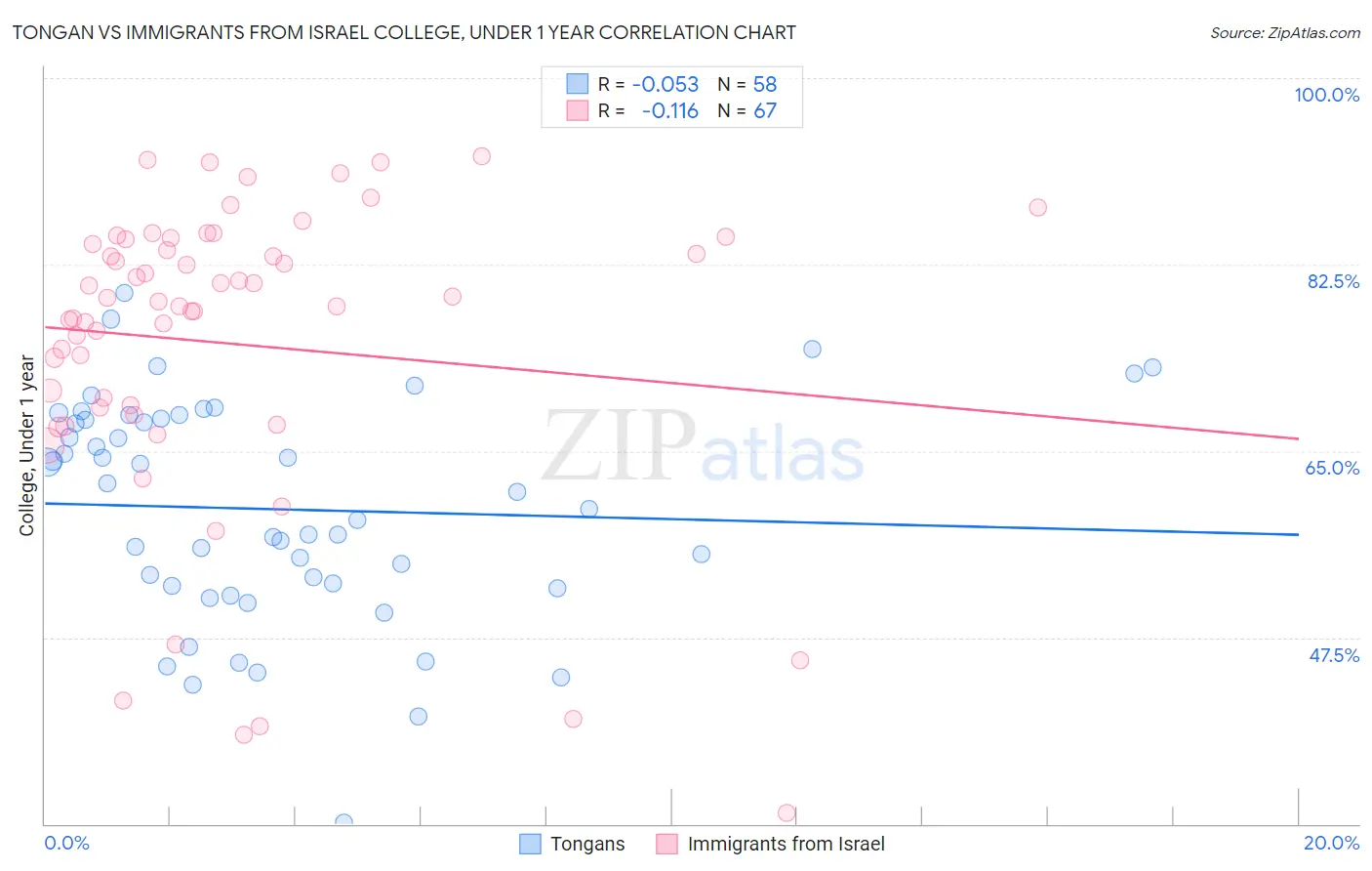Tongan vs Immigrants from Israel College, Under 1 year