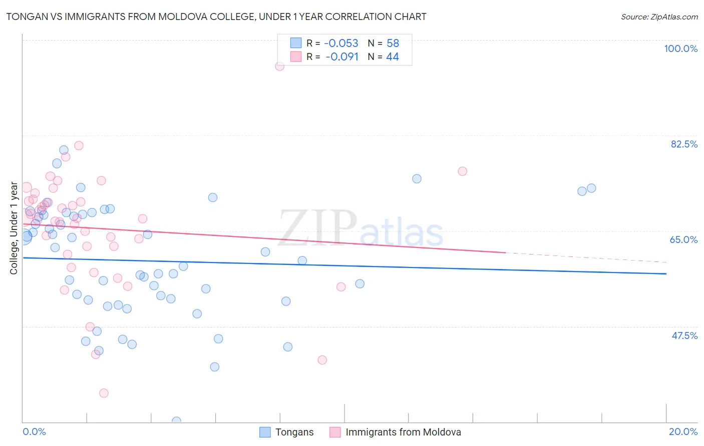 Tongan vs Immigrants from Moldova College, Under 1 year