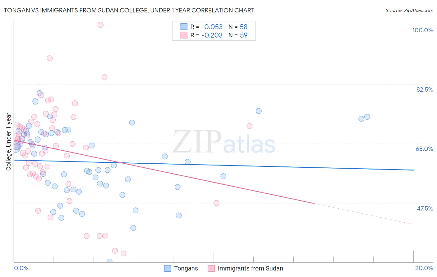 Tongan vs Immigrants from Sudan College, Under 1 year