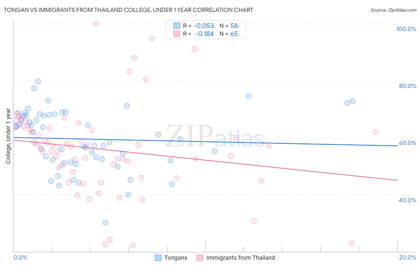 Tongan vs Immigrants from Thailand College, Under 1 year