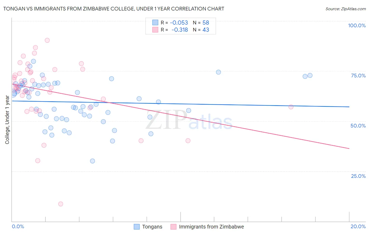 Tongan vs Immigrants from Zimbabwe College, Under 1 year