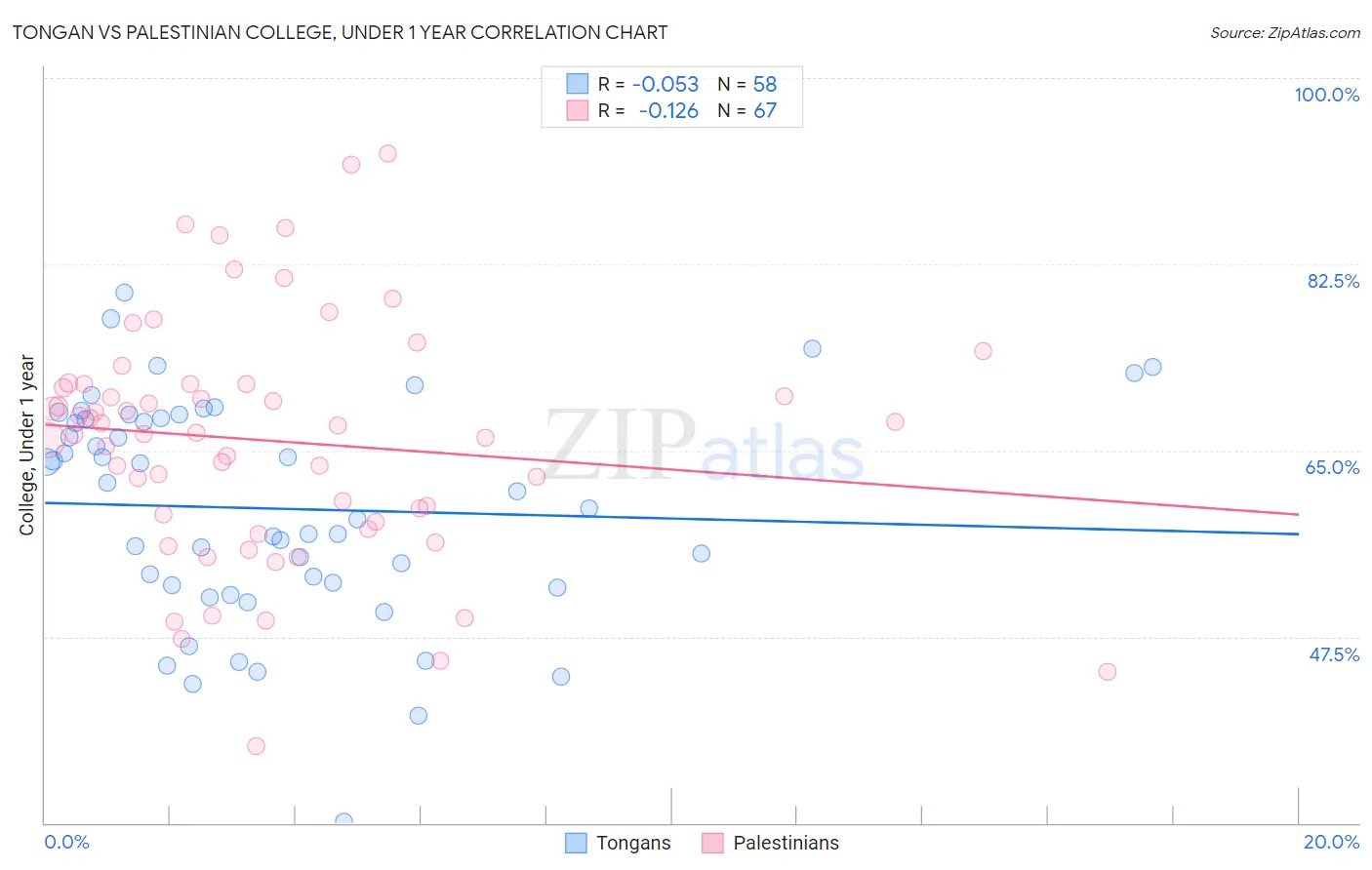 Tongan vs Palestinian College, Under 1 year