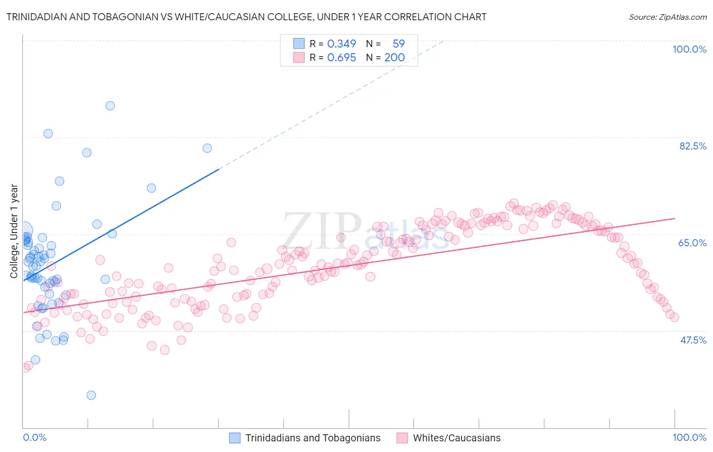 Trinidadian and Tobagonian vs White/Caucasian College, Under 1 year