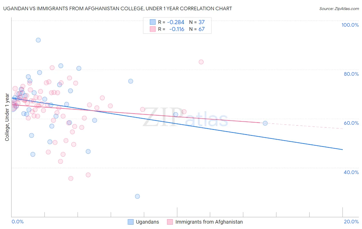 Ugandan vs Immigrants from Afghanistan College, Under 1 year