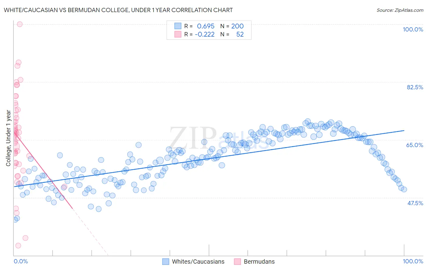 White/Caucasian vs Bermudan College, Under 1 year