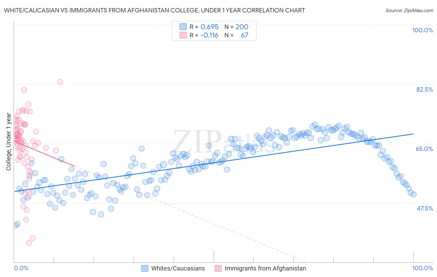 White/Caucasian vs Immigrants from Afghanistan College, Under 1 year