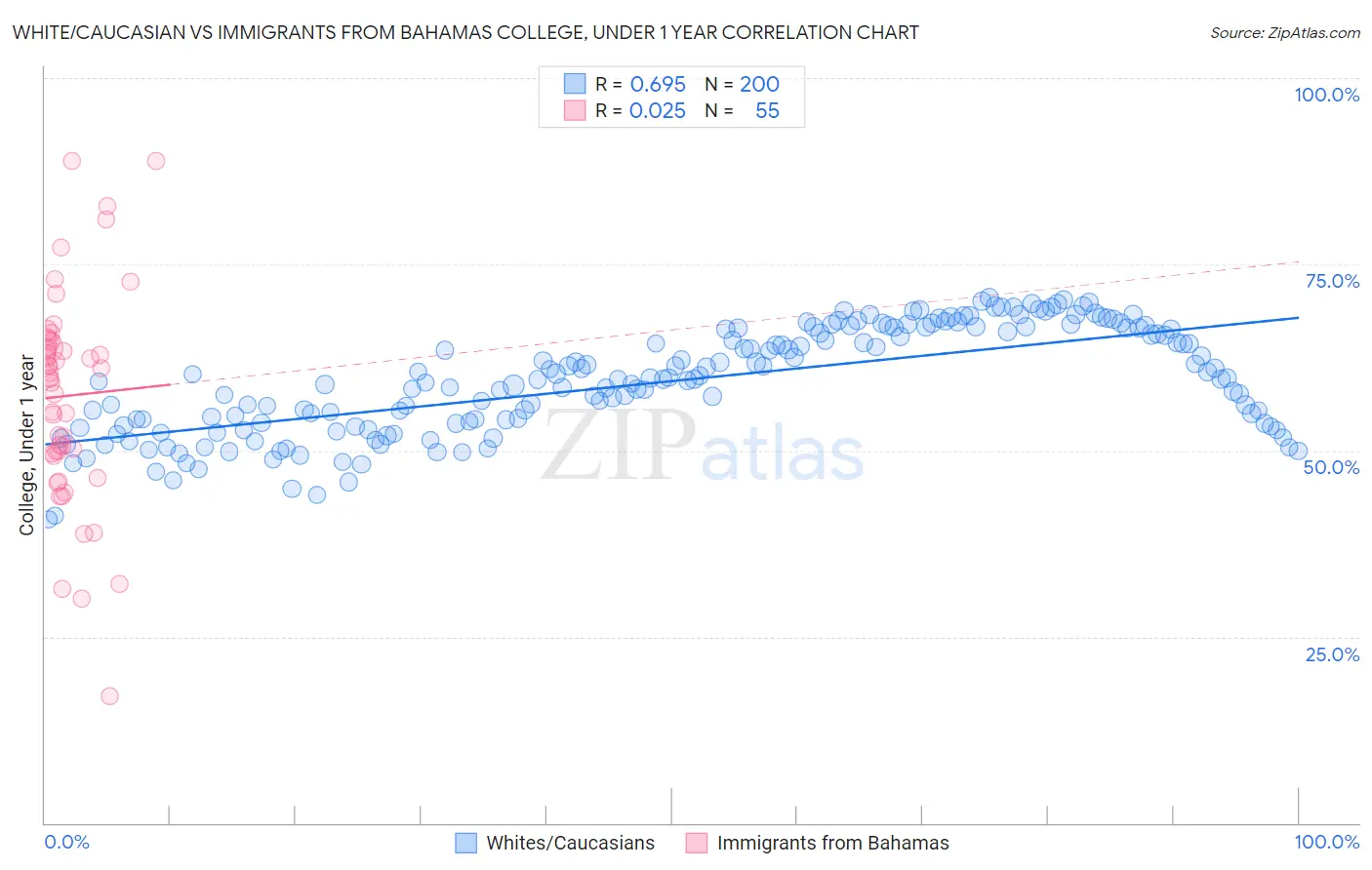 White/Caucasian vs Immigrants from Bahamas College, Under 1 year