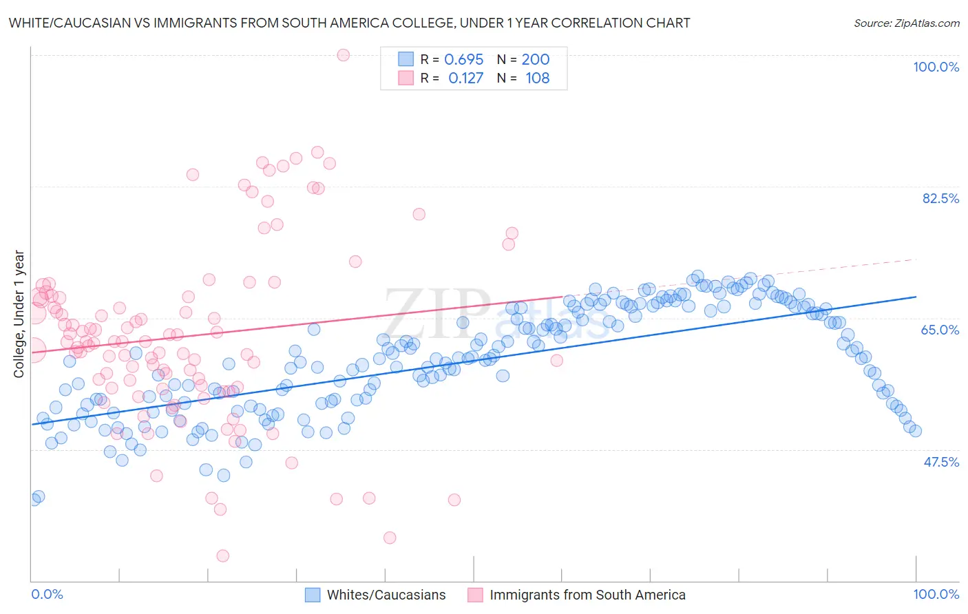 White/Caucasian vs Immigrants from South America College, Under 1 year