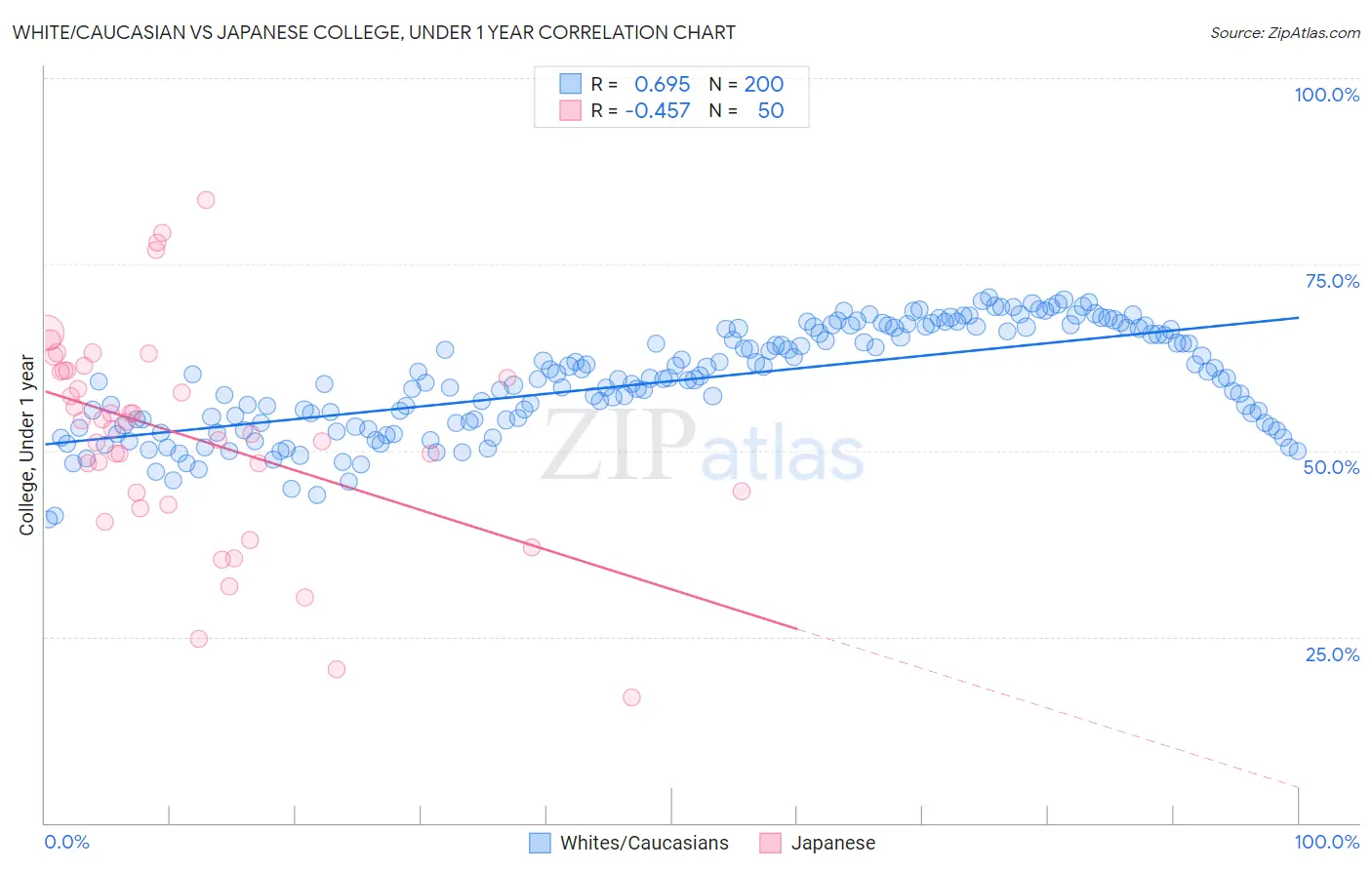 White/Caucasian vs Japanese College, Under 1 year