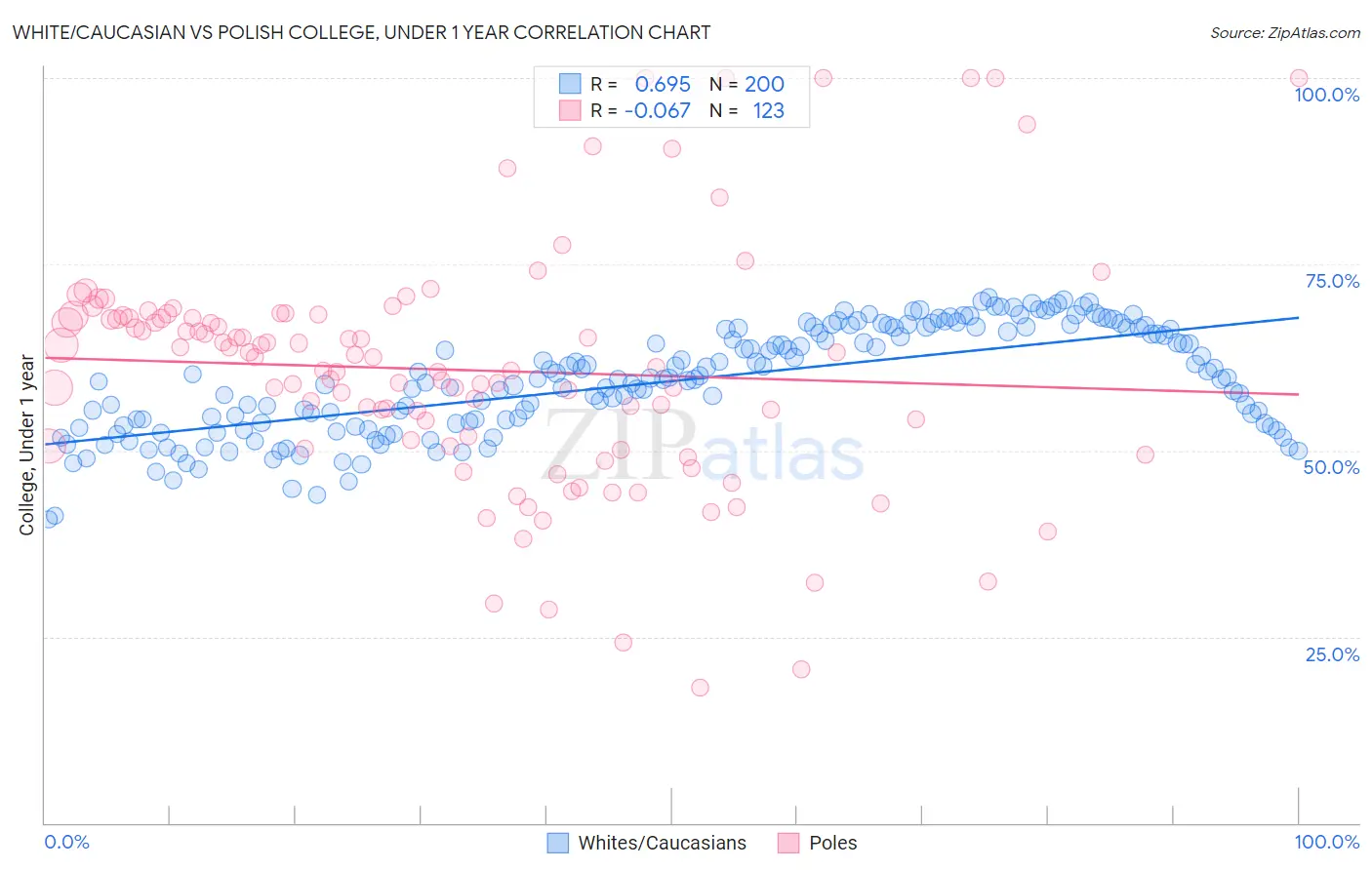 White/Caucasian vs Polish College, Under 1 year