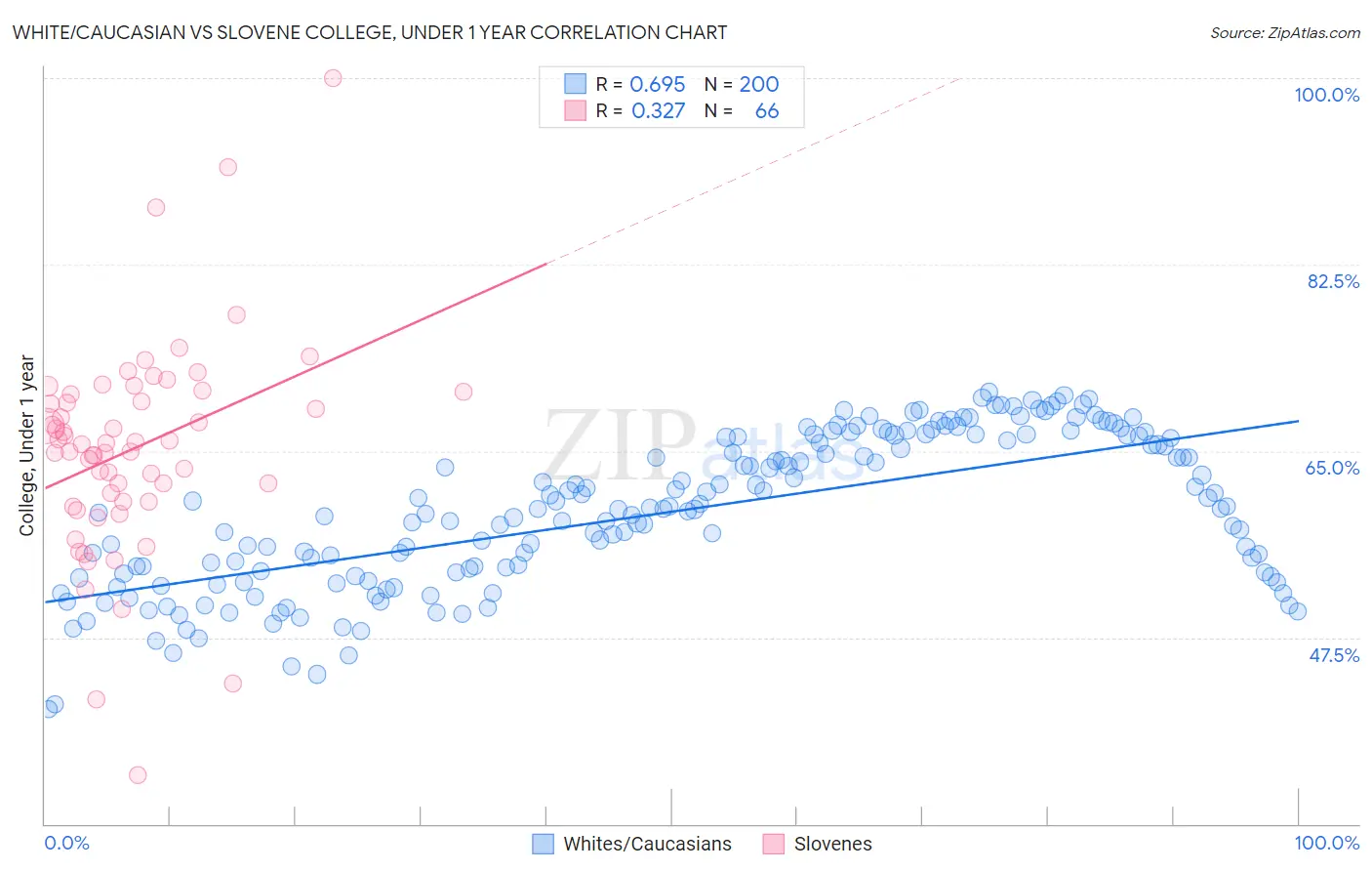White/Caucasian vs Slovene College, Under 1 year