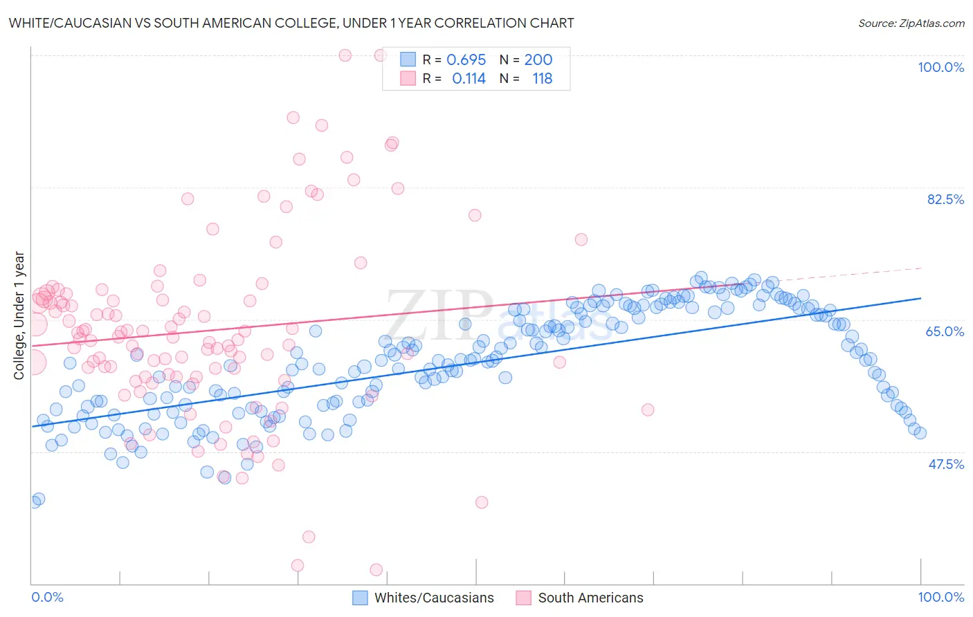 White/Caucasian vs South American College, Under 1 year